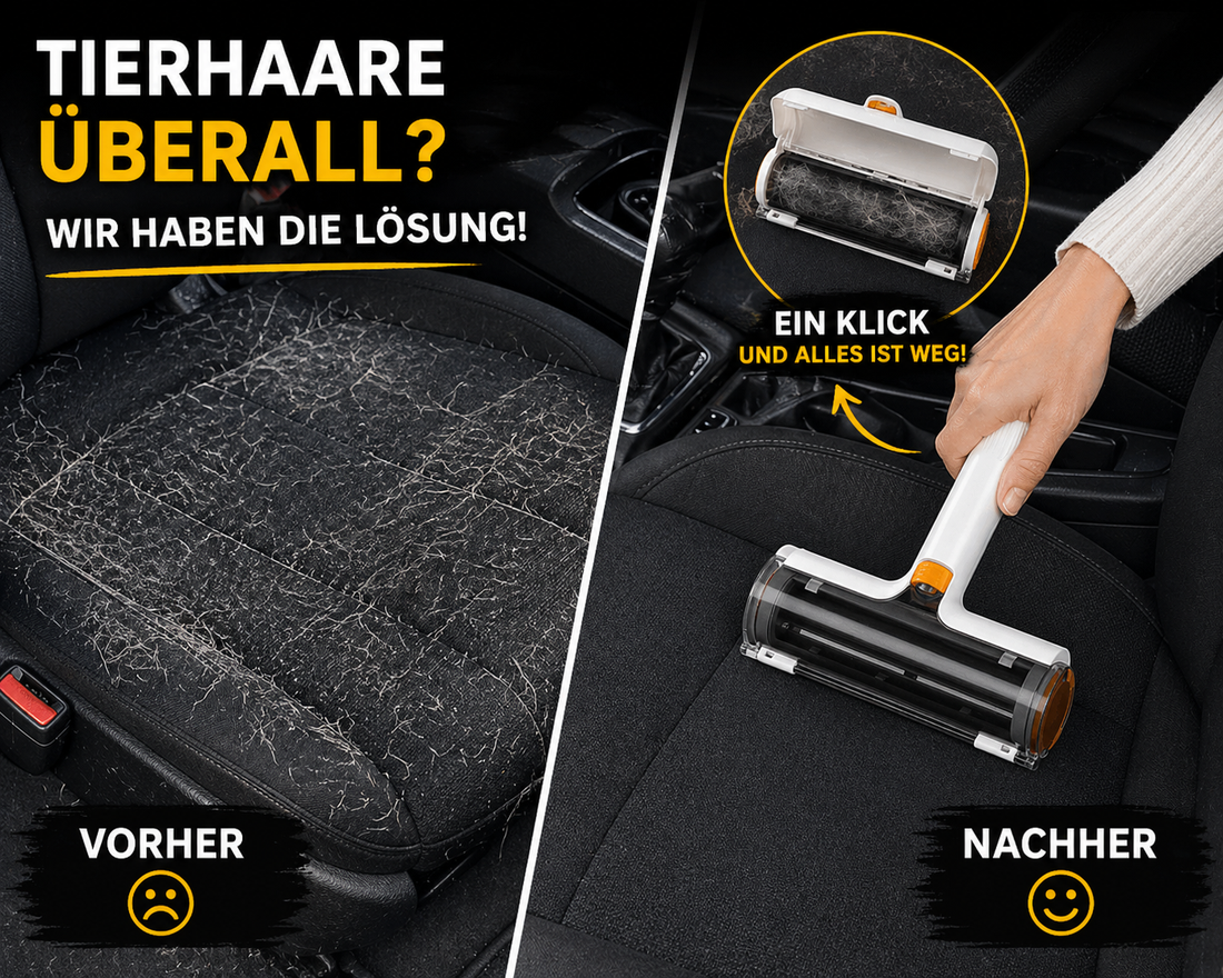 Tierhaare entfernen: Die beste Lösung für Sofa, Kleidung & Auto